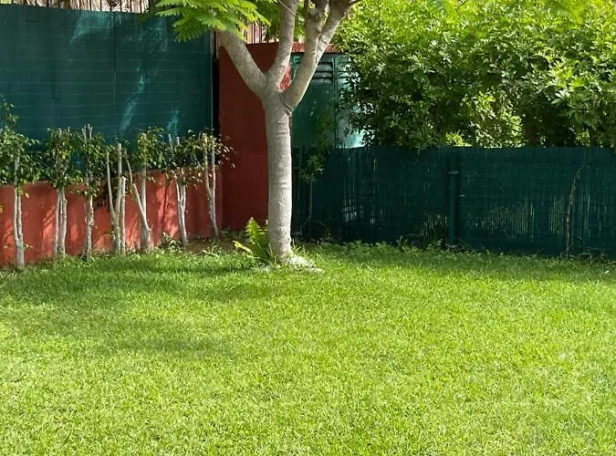 Albaricoques Sun & Apartmán